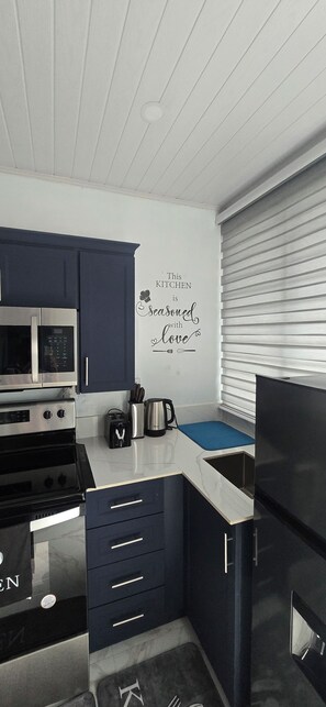 Microwave, stovetop - Safe Haven Studio apartment with AC in vibrant Kingston (Kingston)