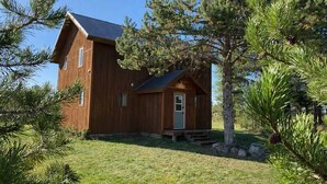 Une cabane en bois avec un petit porche et une porte, entourée de pins.