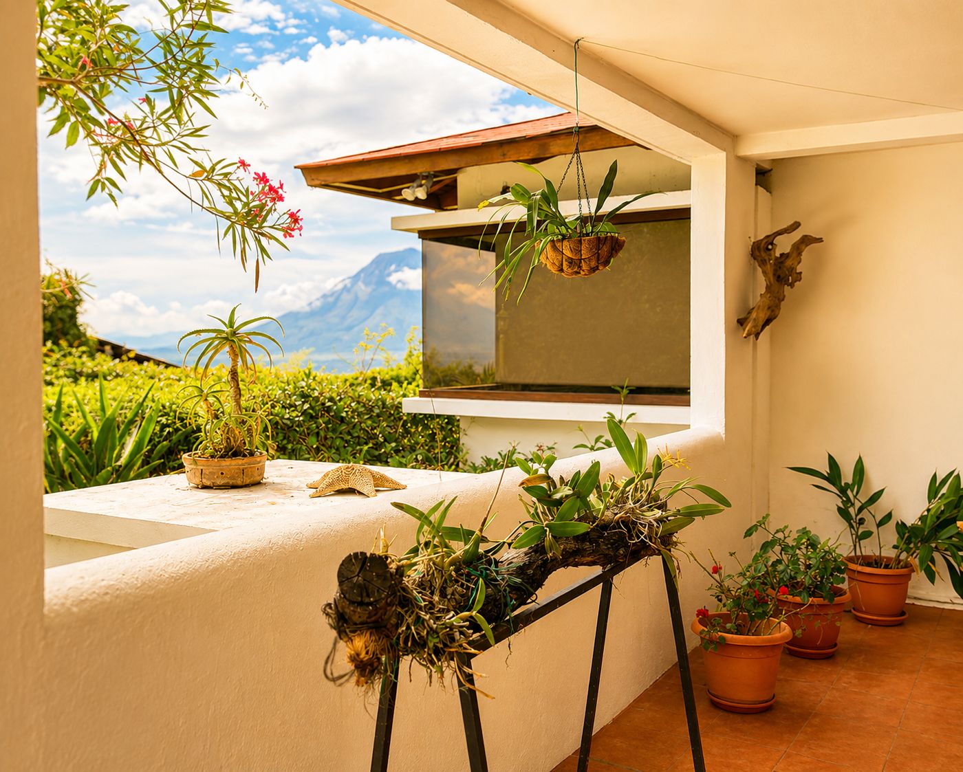A balcony with potted plants, a telescope, and a view of a mountain.