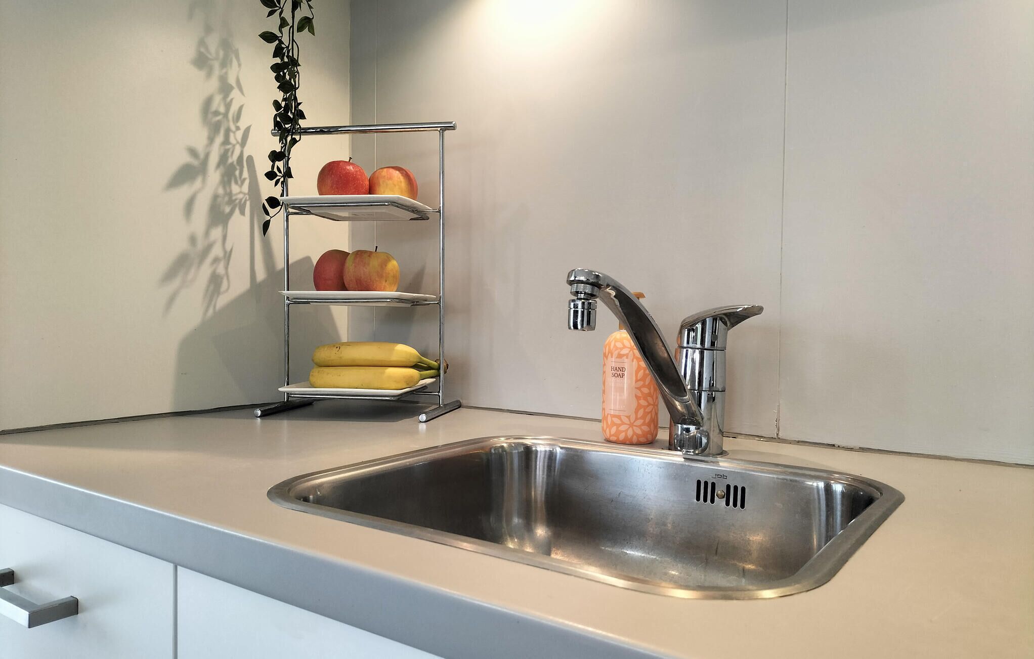A kitchen with a stainless steel sink, a fruit shelf, and a hand soap dispenser.