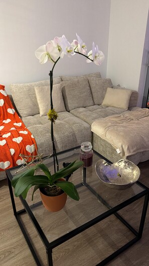 Living area - Welcoming 1-bedroom with AC (Waldorf)