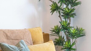Een woonkamer met een bank, kussens, een plant en een lijst met kunstwerk aan de muur.