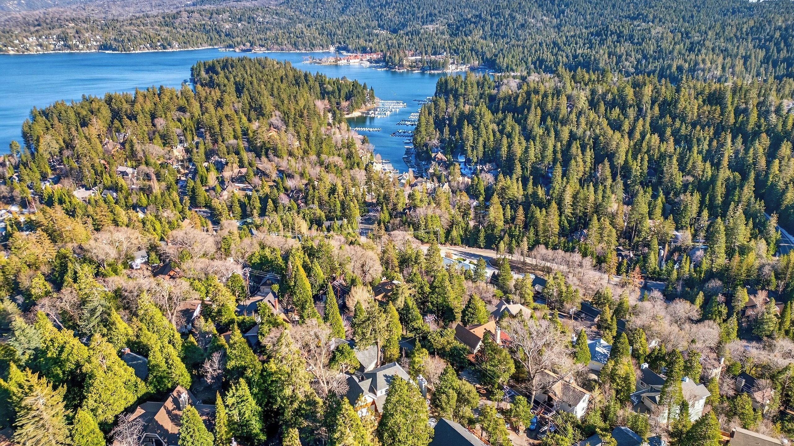 An aerial view of a residential area with houses surrounded by dense forests and a lake.