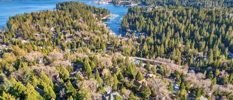 An aerial view of a residential area with houses surrounded by dense forests and a lake.