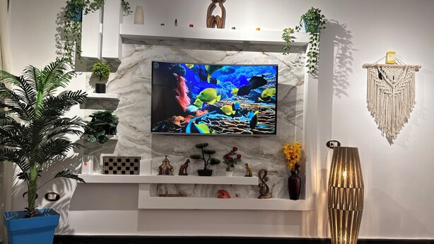 A living room with a TV mounted on a marble wall, surrounded by plants, decorative items, and a modern floor lamp. - Brand New Boho Apartment Sharm (South Sinai Governorate)