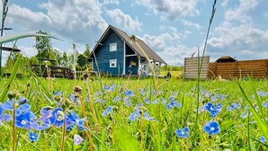 Een landelijke blauwe woning met schuine dak, omringd door een veld blauwe bloemen en een houten hek.