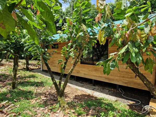 Luxury Suite, Balcony, Garden View | Property grounds - Finca Amistad Cacao Lodge (Bijagua de Upala)
