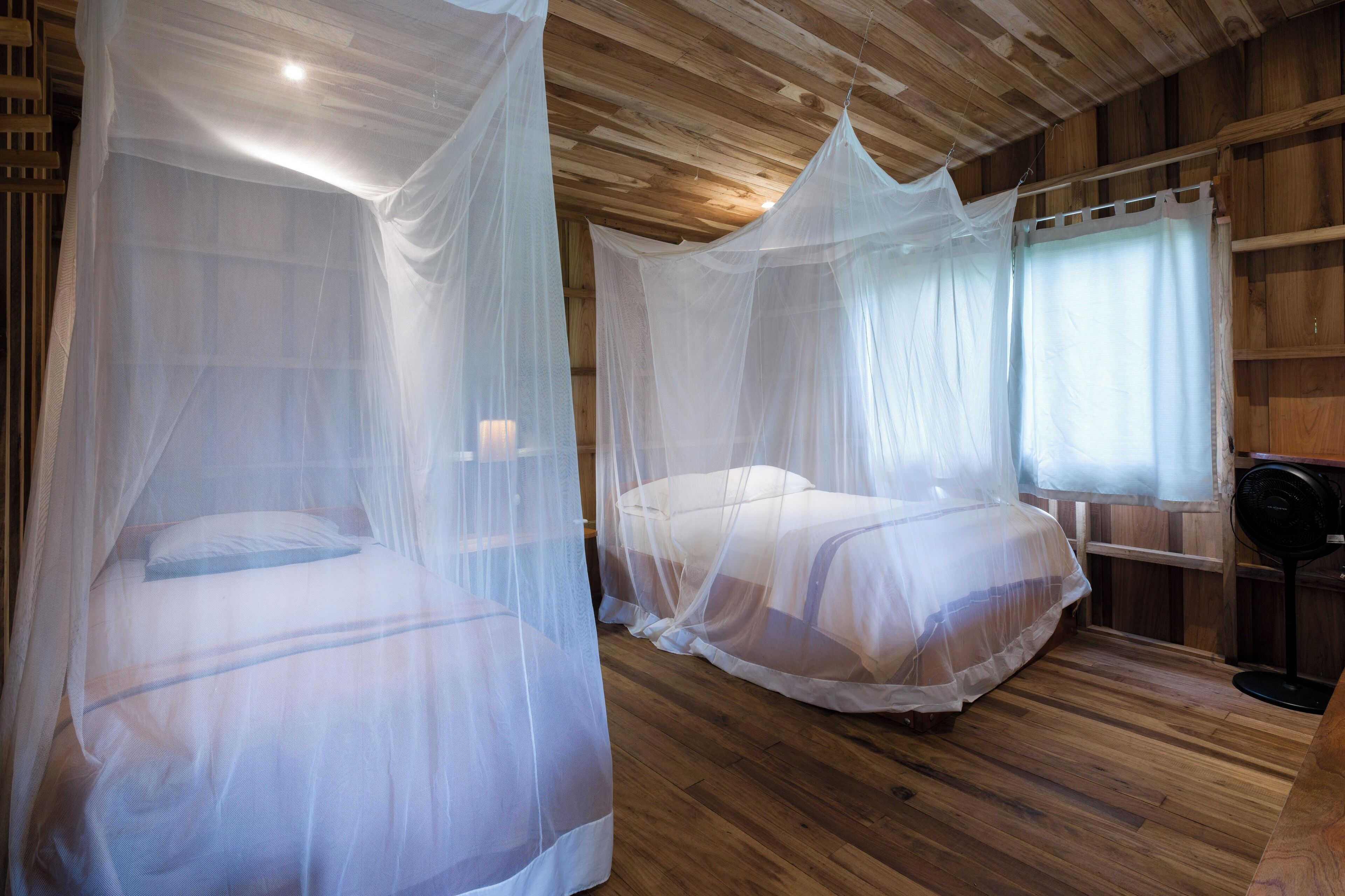 Una habitación con dos camas cubiertas por dos doseles blancos, suelo de madera y techo de madera.
