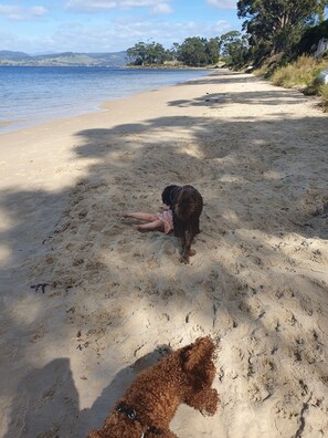 On the beach