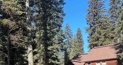 Whispering Pines Cabin, Private Hot Tub, Game Room