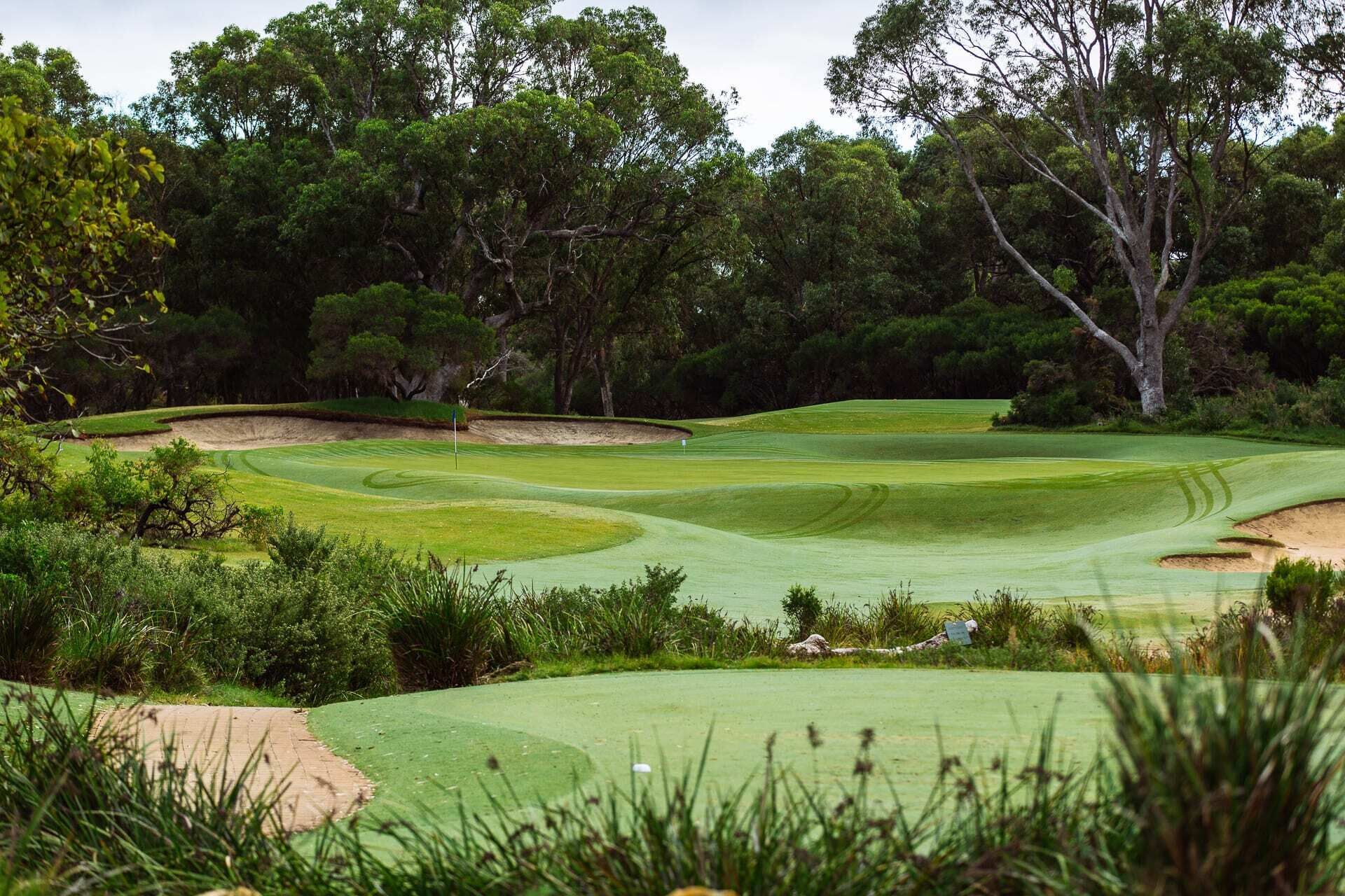 Un campo de golf con búnkeres de arena, un mástil de bandera y árboles densos al fondo.