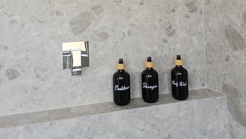 Secador de pelo, toallas, jabón, shampoo