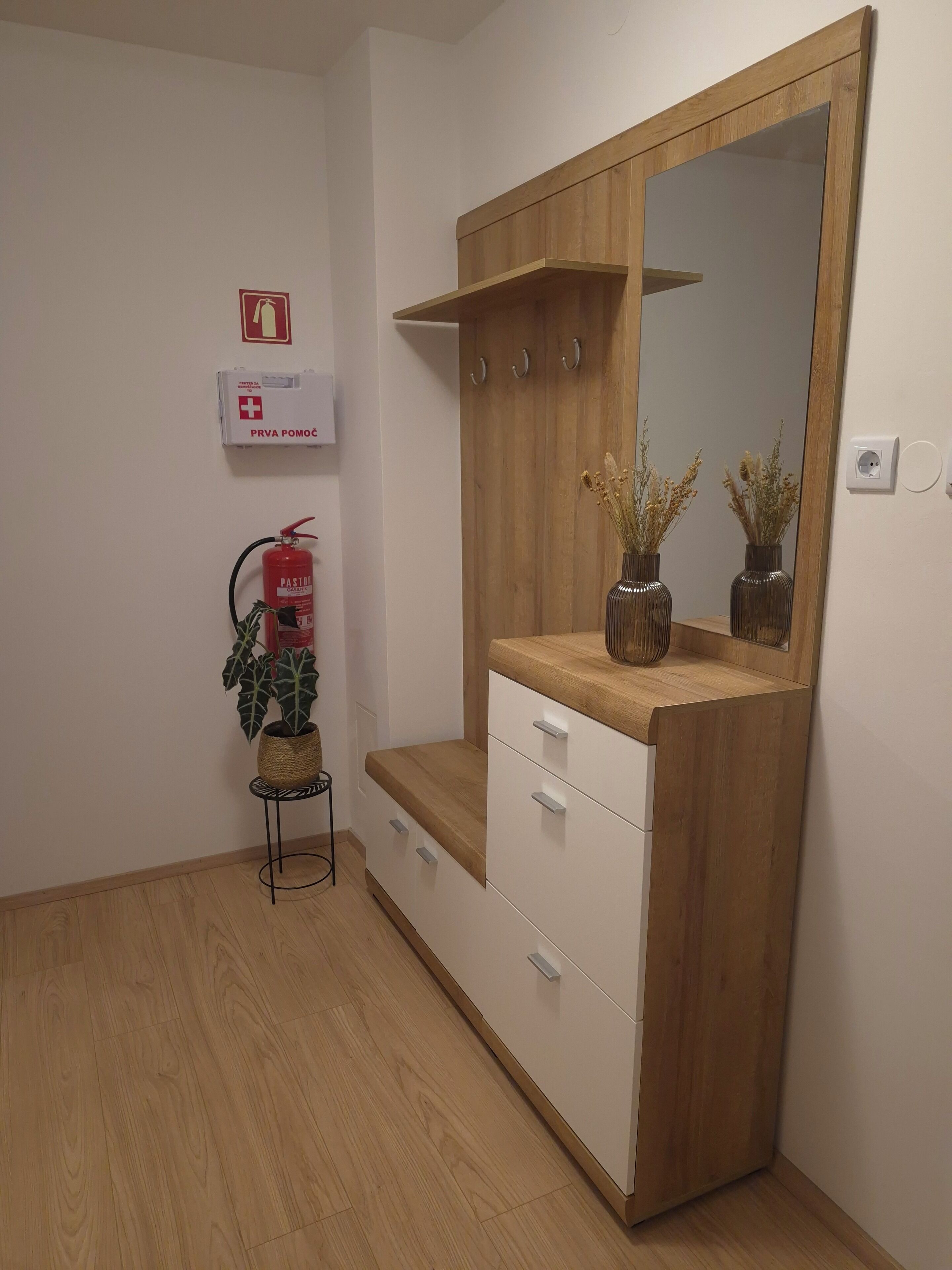 A room with a wooden wardrobe, a small table with a plant, and a fire extinguisher.