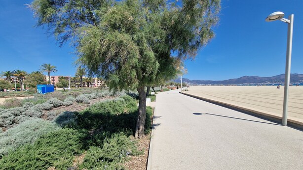 Un chemin pavé longe une plage, avec un ciel dégagé, des arbres et une chaîne de montagnes à l’horizon.