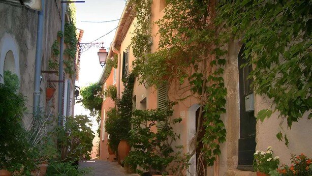 Exterior detail - Authenticité au Cœur des Vignes appt T2  Domaine la Rouillère à Ramatuelle (RAMATUELLE)