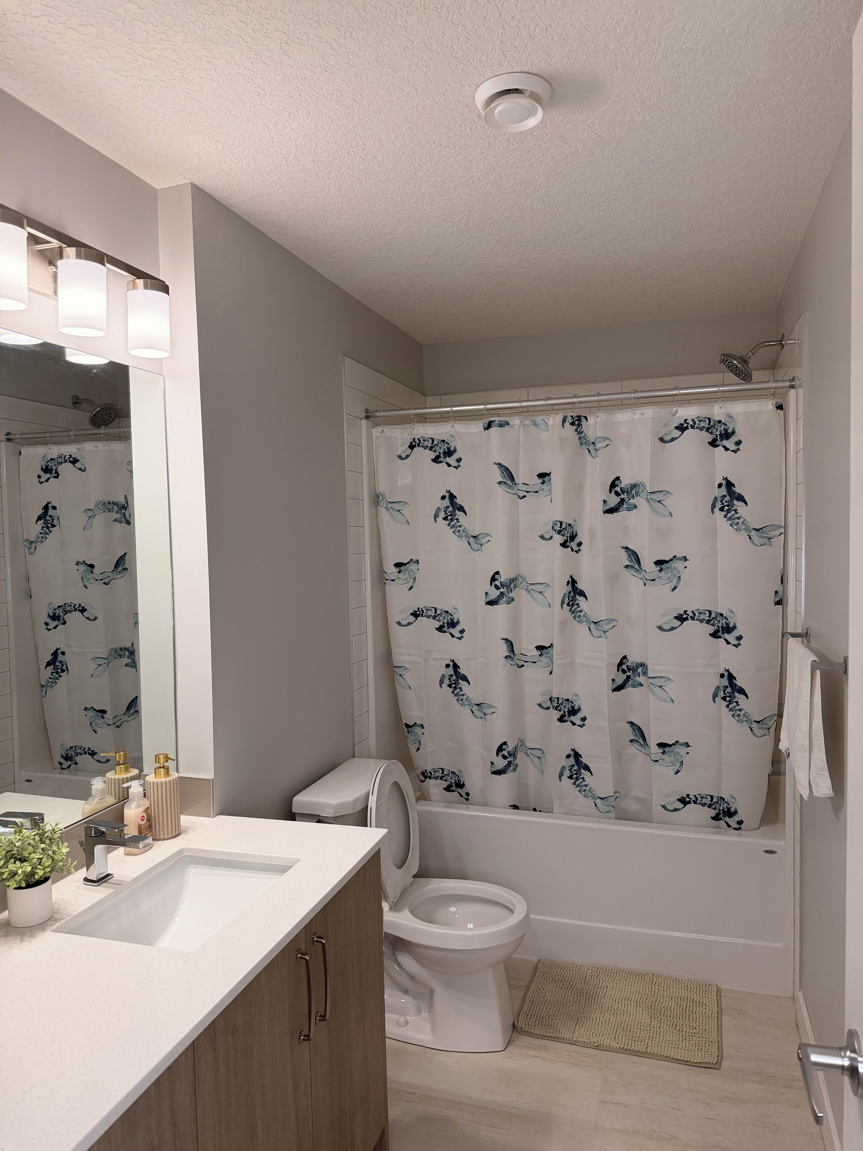 Shower, towels, soap, toilet paper