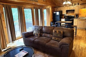Smart TV, fireplace - Hanky Panky: Free Tickets, Pet Friendly, Creek (Pigeon Forge)