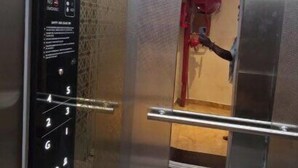 An elevator interior with a control panel, a handrail, and a door with a red handle. - HOTEL HANIE TREE (Dwarka)