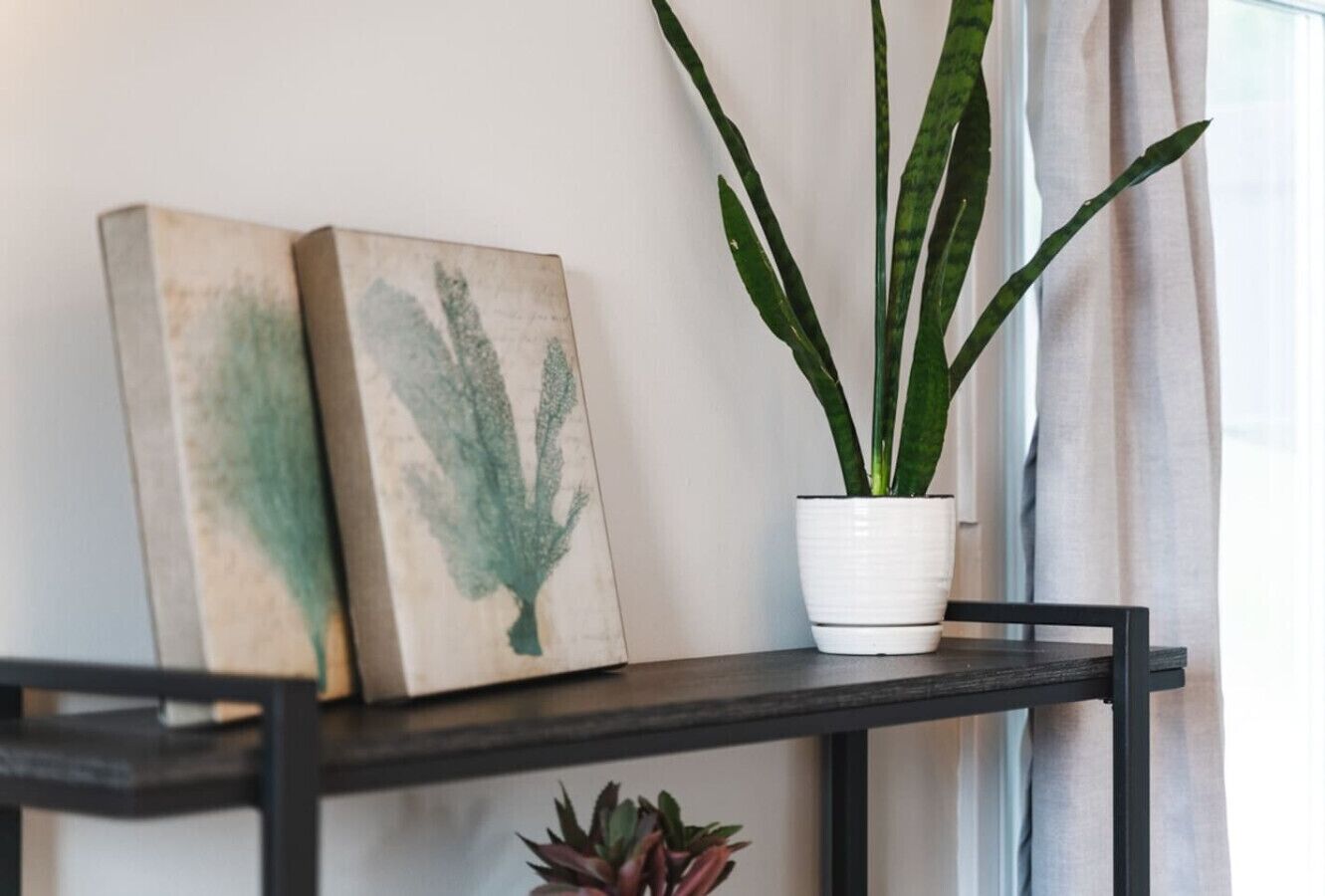 A black metal shelf with two framed botanical prints and a potted plant with long, slender leaves.