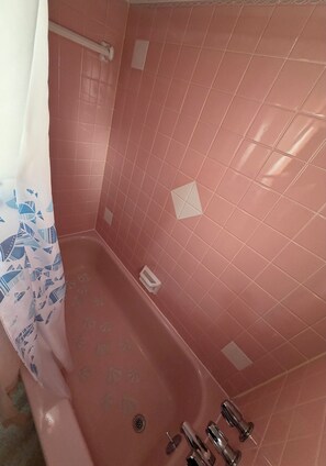 Jetted bath, hair dryer, bidet, towels - 3-bedroom house in close to the airport Buffalo family- friendly no pets allowed (Depew)
