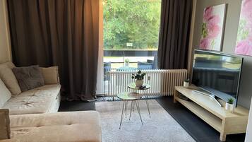 Smart TV, DVD player, books