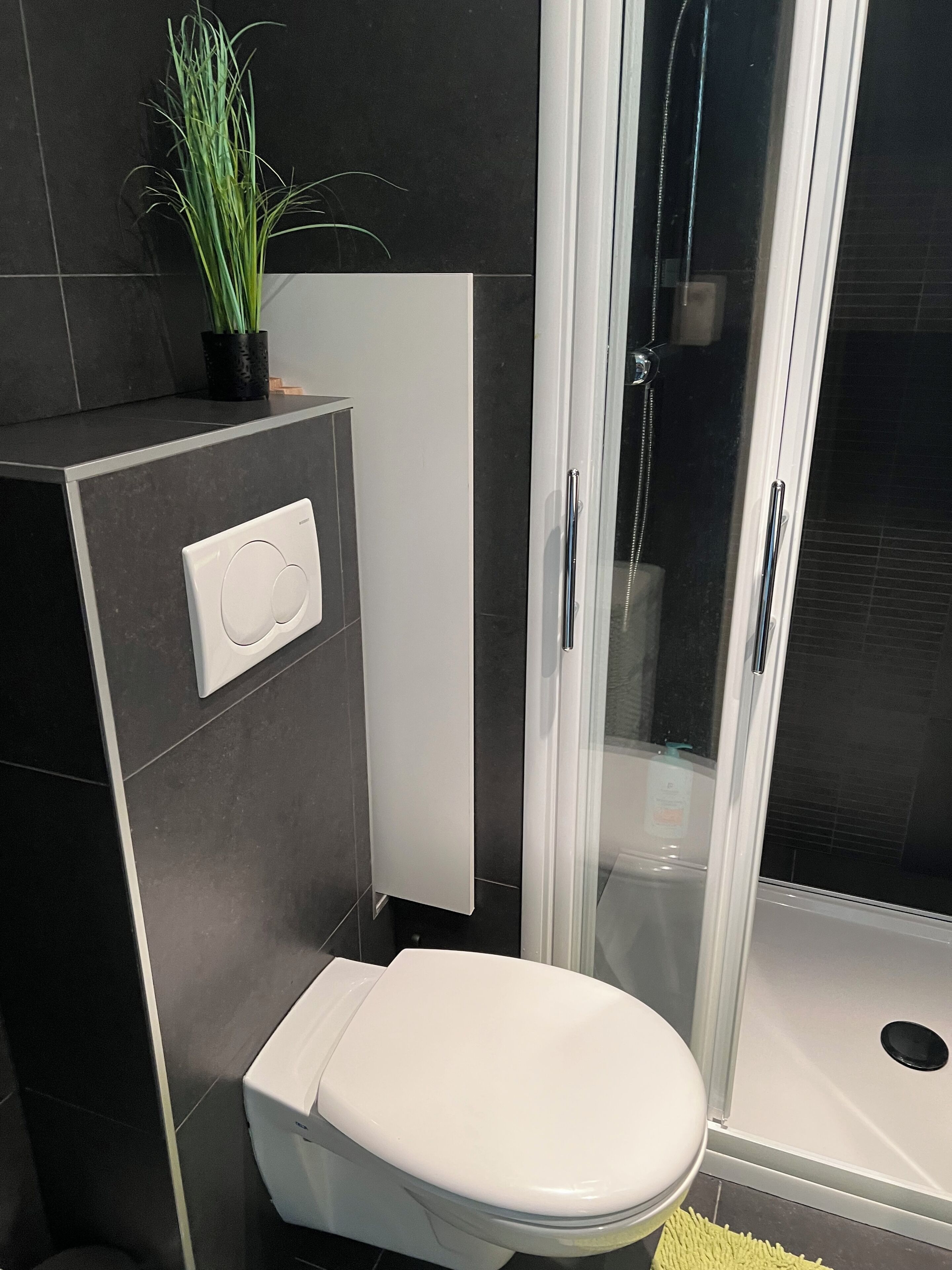 Ein modernes Badezimmer mit Toilette, einer Duschkabine und einem kleinen Topfpflanzen auf dem Waschtisch.