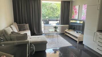 Smart-TV, DVD-spiller og bøker