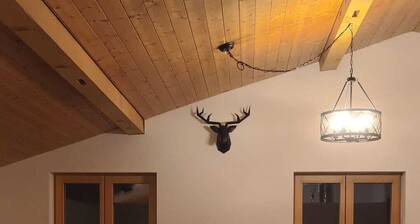 Vacation apartment zum schwarzen Hirsch