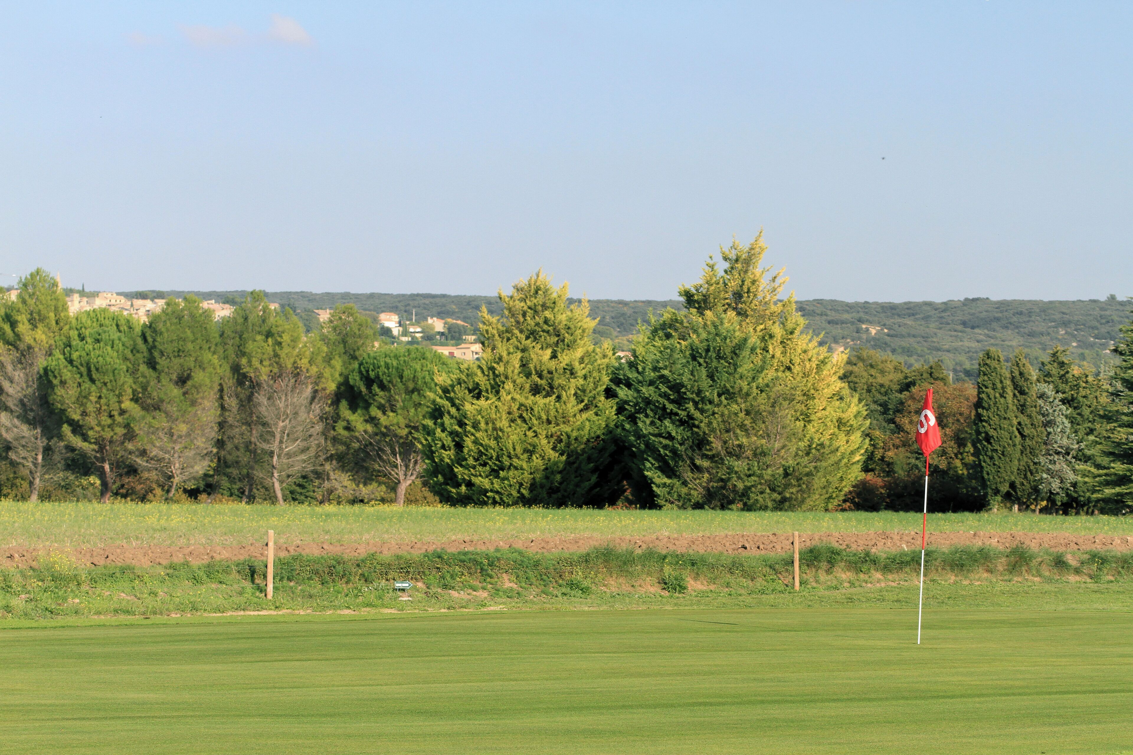 Ein Golfplatz mit Fahnenstange, Bäumen und einem Gebäude in der Ferne.