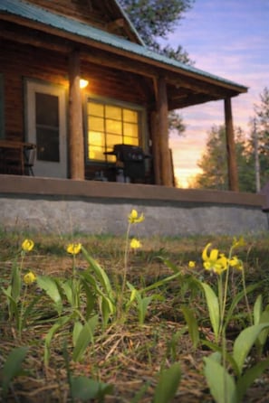 Property grounds - Yellowstone Elk Cabin+Sauna+AC+20miles to Yellowstone (Island Park)
