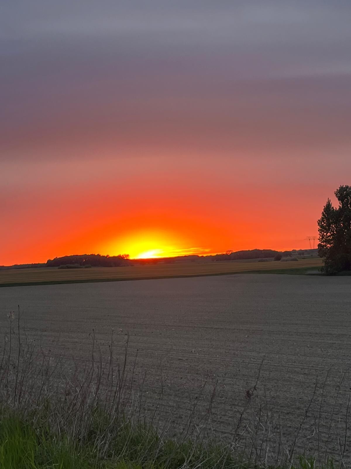 A flat landscape with a sunset.