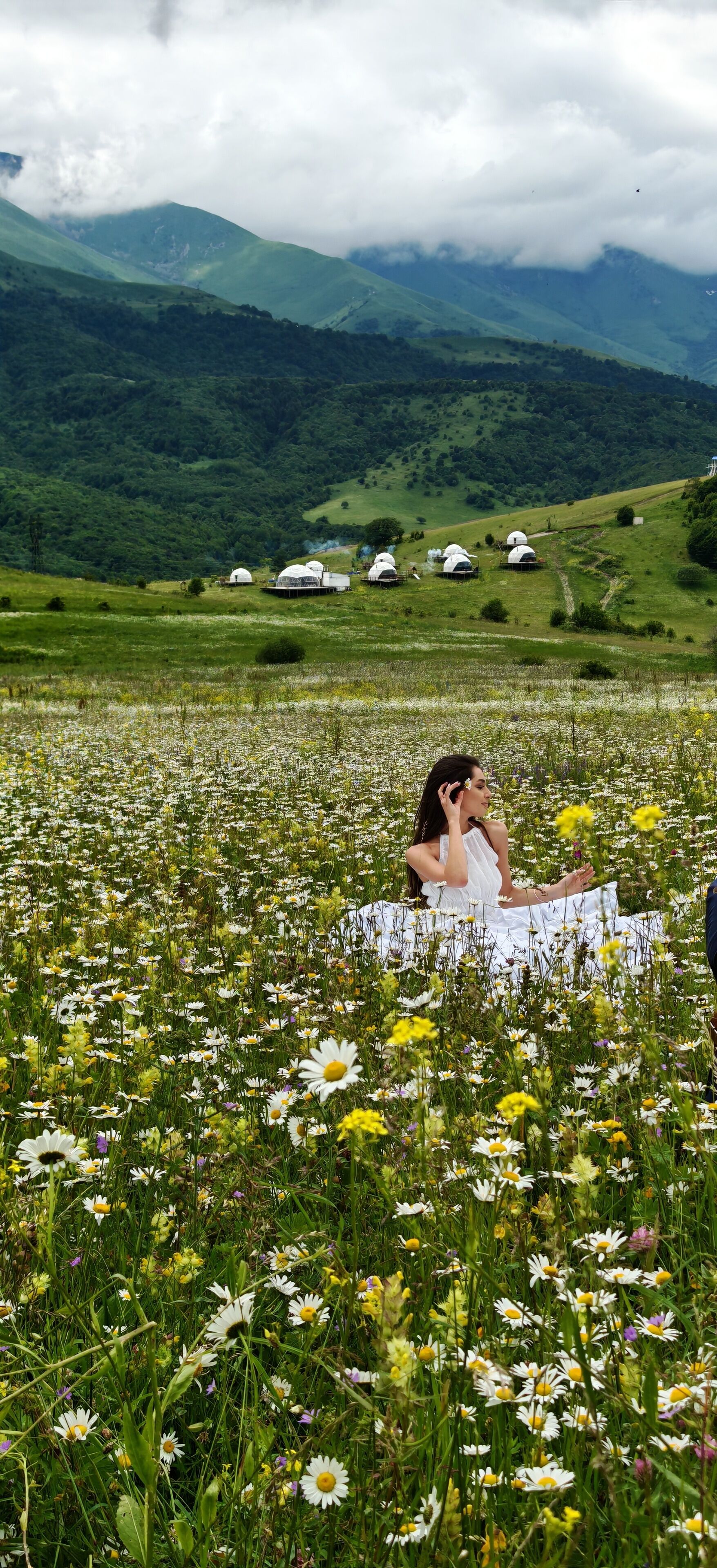 A woman sitting on a blanket in a field of daisies with mountains in the background.