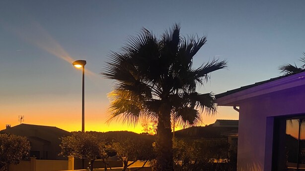 A swimming pool with blue lighting, surrounded by potted plants and a palm tree, with a sunset in the background.