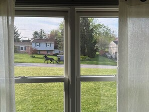 Ein Fenster mit Blick auf eine Wiese und eine vorbeifahrende Kutsche.