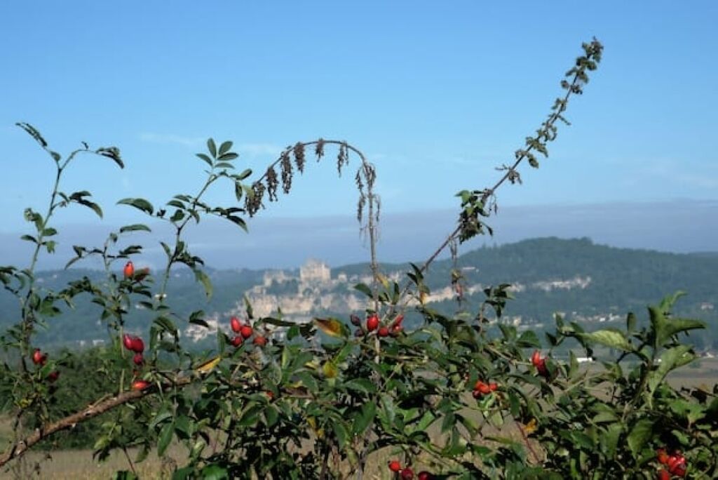 A view of a mountainous landscape with a castle in the distance.