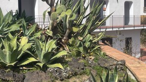 Um edifício com telhado de telhas vermelhas e paredes brancas, cercado por cactos e plantas de agave.