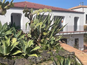 Detalle del exterior