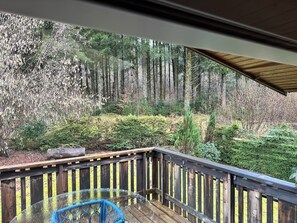Property grounds - Chalet Le grand étang in Gerardmer (Gérardmer)