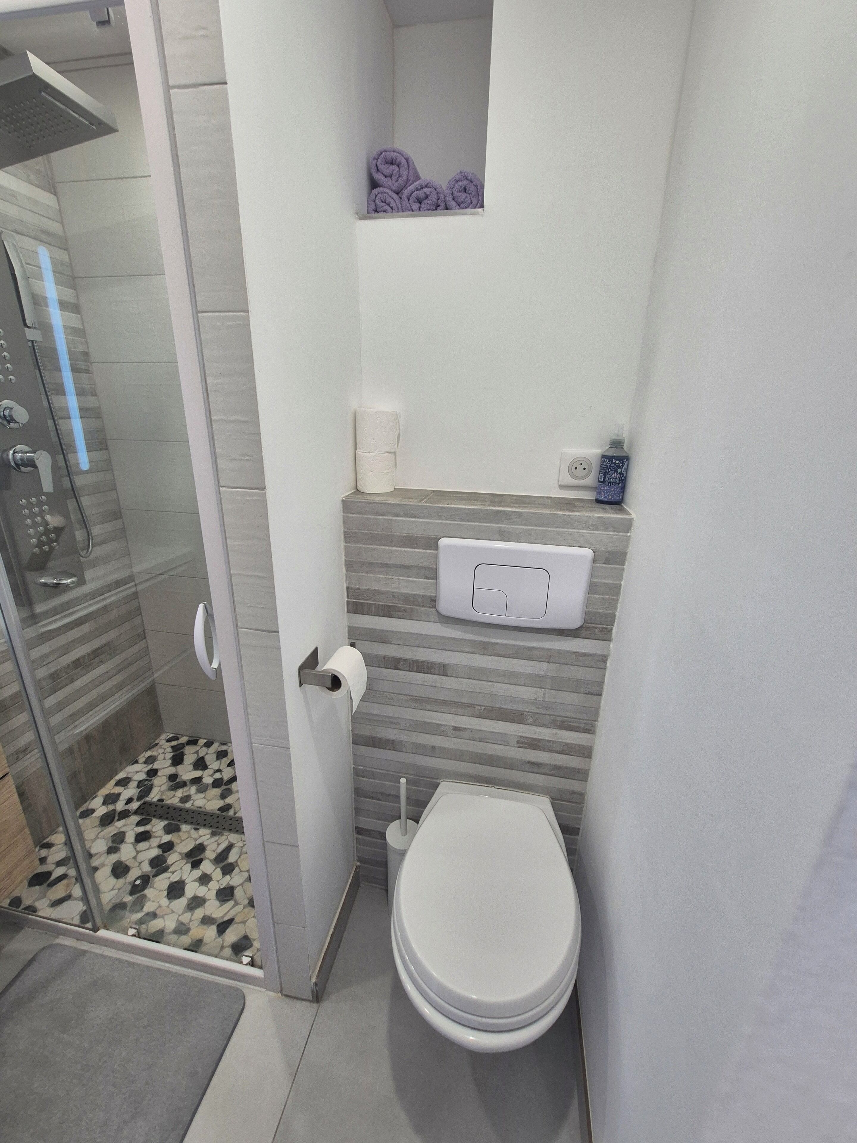 Une salle de bain avec une douche, des toilettes et un porte-serviettes.