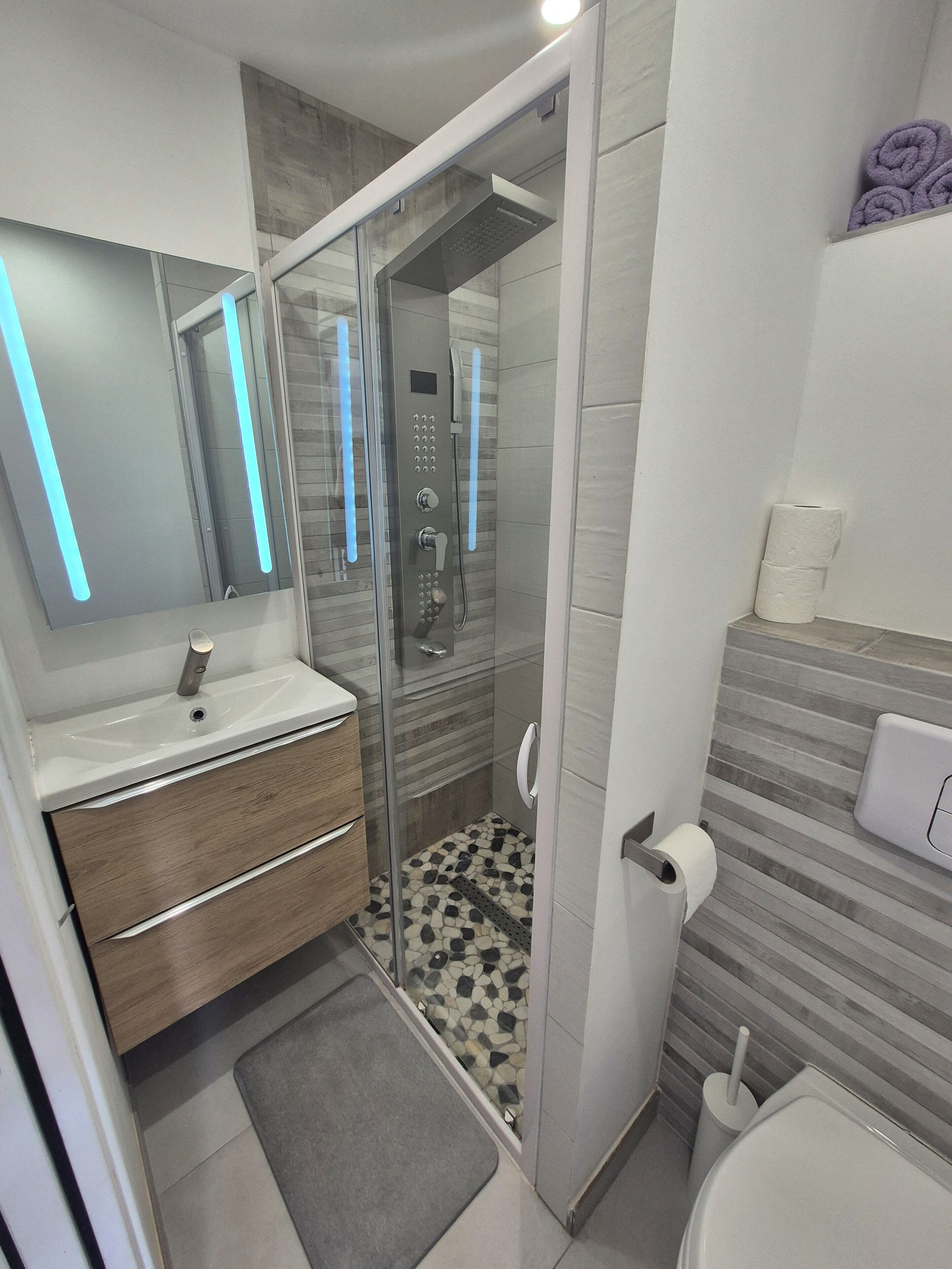 Hair dryer, towels, soap, toilet paper
