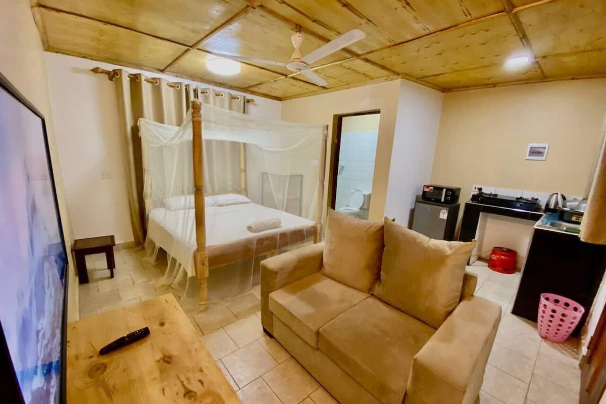 Una habitación con cama, sofá, televisión, ventilador de techo y kitchenette.