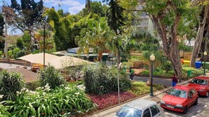 A parking area with several cars, surrounded by lush greenery and trees. - Superior Rentals - Downtown Villa (Funchal)