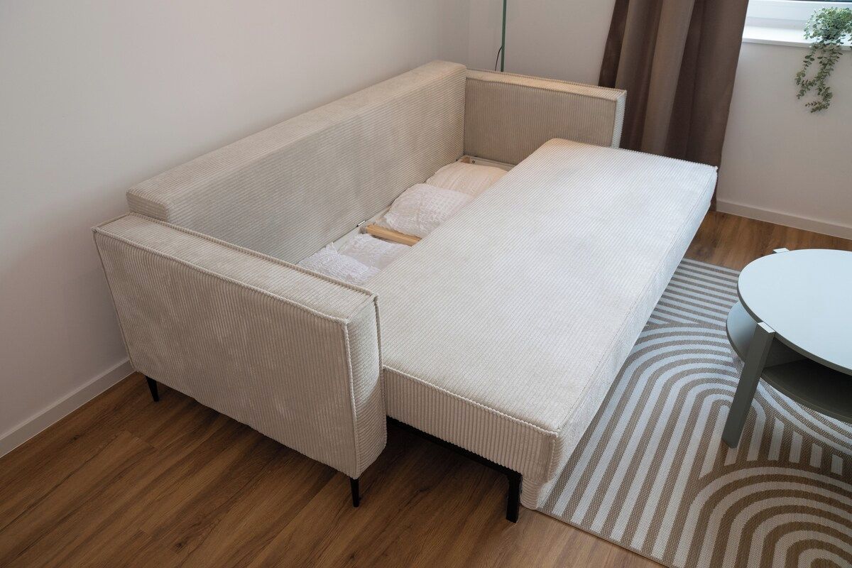 A compact room with a sofa bed, a small table, and a patterned rug.