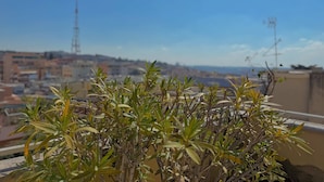 Un jardín en la azotea con vistas a un paisaje urbano.