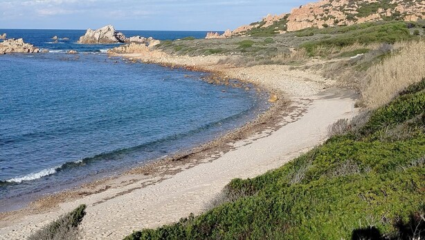 Eine Küstenlandschaft mit Sandstrand, Felsen und grüner Vegetation.