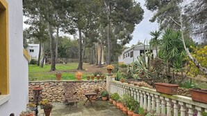 Ein Patio mit Steinmauer, Holzmöbeln und verschiedenen Kübelpflanzen.