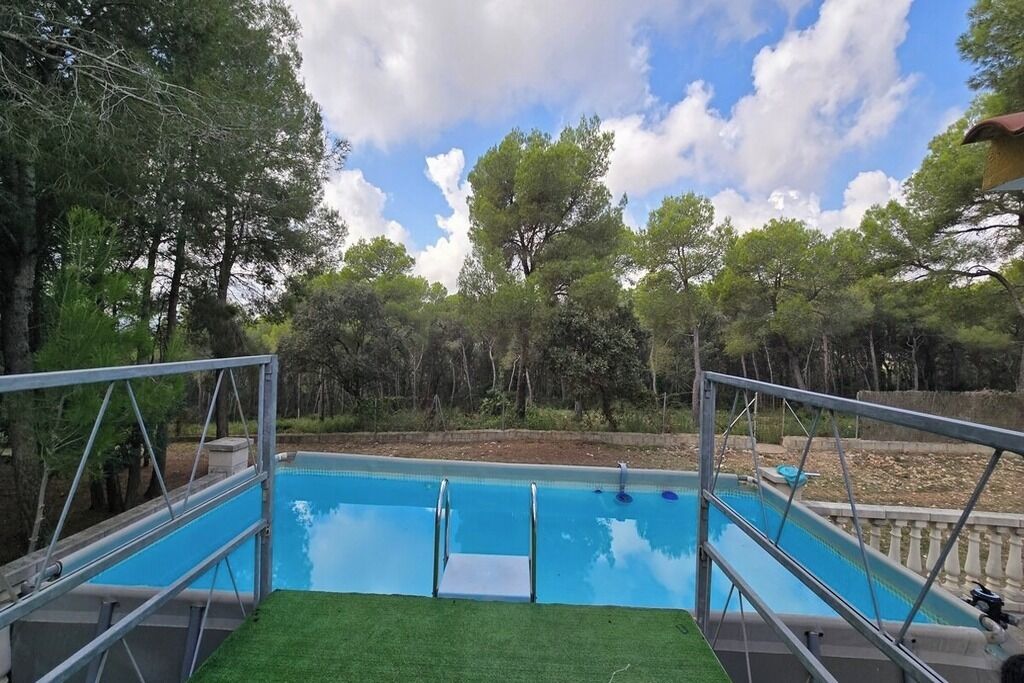 Une piscine avec un escalier en métal et un petit plongeoir, entourée d’arbres et sous un ciel dégagé.