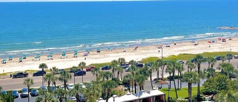 Condo, 2 habitaciones | Alberca