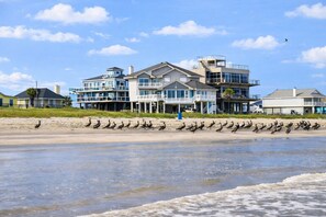 On the beach - Beachfront 5BR | Hot Tub & Sauna | Wraparound Deck | Sleeps 14 | Pet-Friendly (Galveston)