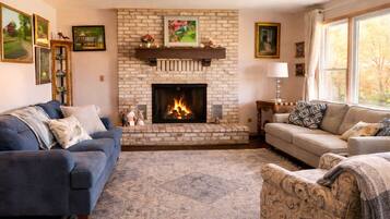Smart TV, fireplace, books